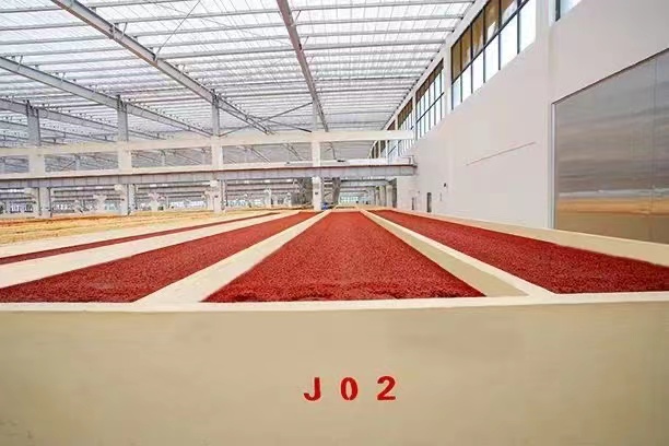 微信圖片_20211202132305.jpg 微信圖片_20211202132305.jpg