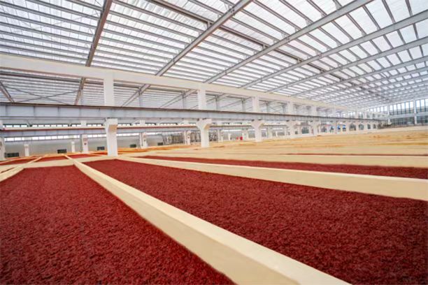 微信圖片_20211202132308.jpg 微信圖片_20211202132308.jpg