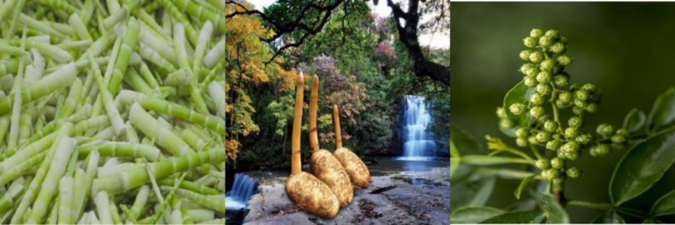 微信圖片_20240424093124.png 微信圖片_20240424093124.png